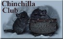 Chinchilla Club Ring